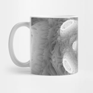 3D Snowflake Christmas Floral Rose Mug